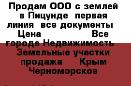 Продам ООО с землей в Пицунде, первая линия, все документы › Цена ­ 9 000 000 - Все города Недвижимость » Земельные участки продажа   . Крым,Черноморское